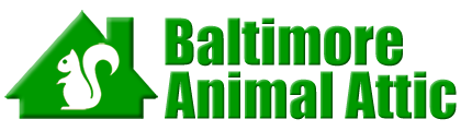Baltimore Animal Attic